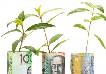 Concept of green plant grow on Australian Dollar currency note.